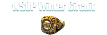 Онлайн серия WSOP Winter Circuit на ПокерОК